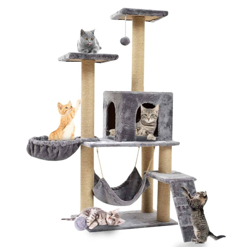 Why Every Cat Deserves a Cat Tree: Play, Comfort & Scratch in One